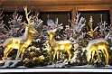 Winterimpressionen   029